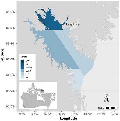 Using satellite imagery to estimate abundance of Cumberland Sound beluga whales (Delphinapterus leucas) in 2021